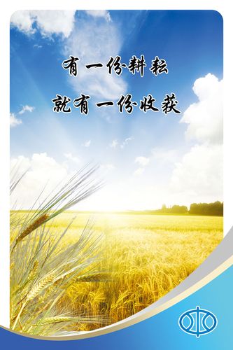 kaiyun官方网站:2019奥迪q3变速箱型号(2019款奥迪q3变速箱型号)